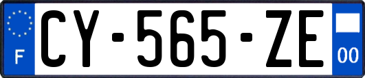 CY-565-ZE