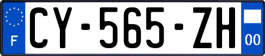 CY-565-ZH