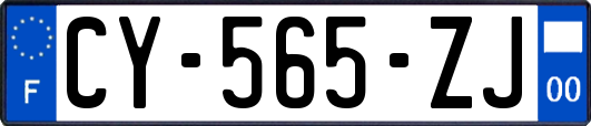 CY-565-ZJ