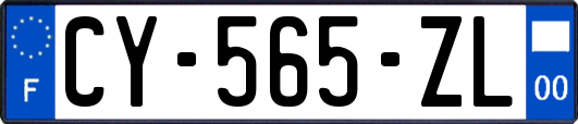 CY-565-ZL