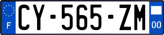 CY-565-ZM