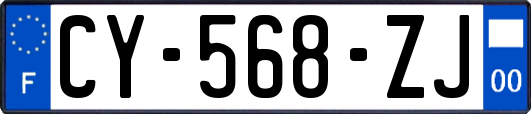 CY-568-ZJ