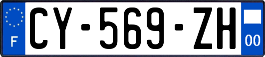CY-569-ZH