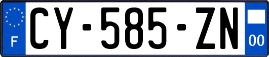 CY-585-ZN