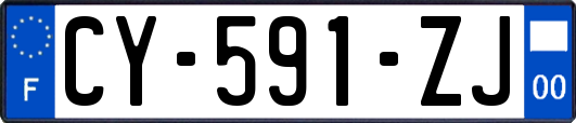 CY-591-ZJ