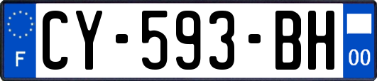 CY-593-BH