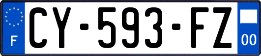 CY-593-FZ