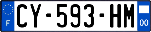 CY-593-HM