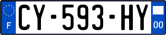 CY-593-HY