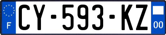 CY-593-KZ