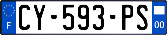 CY-593-PS