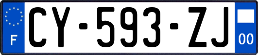 CY-593-ZJ