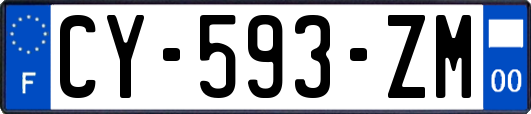 CY-593-ZM