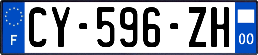 CY-596-ZH