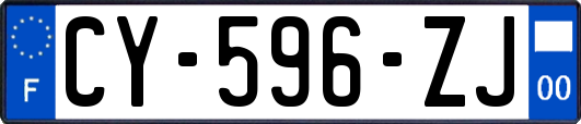CY-596-ZJ