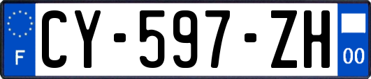 CY-597-ZH