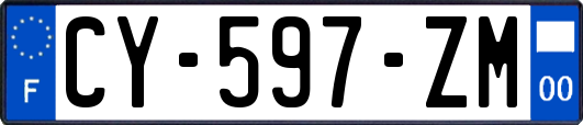 CY-597-ZM