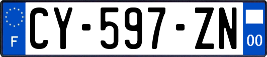 CY-597-ZN