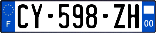 CY-598-ZH