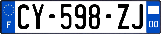 CY-598-ZJ