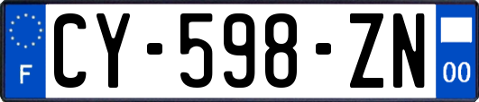 CY-598-ZN