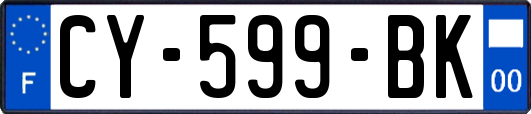 CY-599-BK