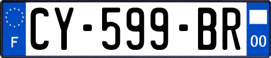CY-599-BR