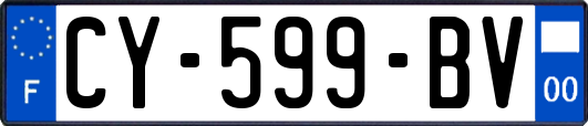 CY-599-BV