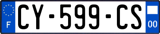 CY-599-CS