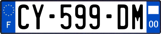 CY-599-DM