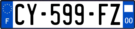 CY-599-FZ