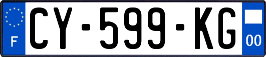 CY-599-KG