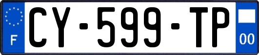 CY-599-TP