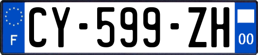 CY-599-ZH
