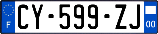 CY-599-ZJ