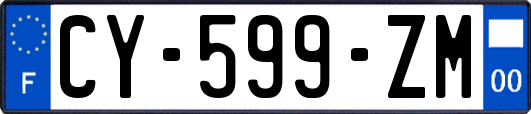 CY-599-ZM