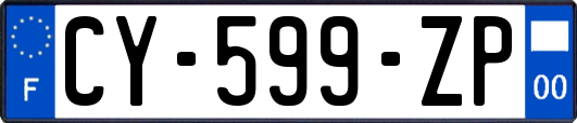 CY-599-ZP