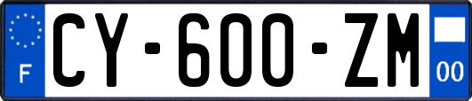 CY-600-ZM