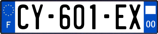 CY-601-EX