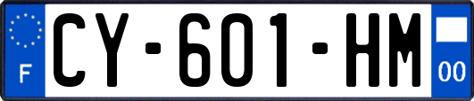 CY-601-HM