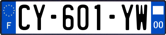 CY-601-YW