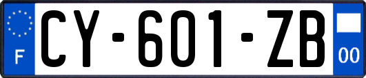 CY-601-ZB