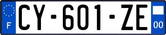 CY-601-ZE
