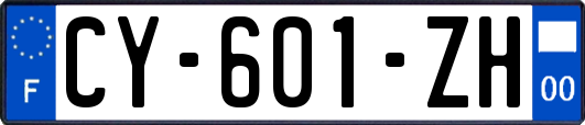 CY-601-ZH