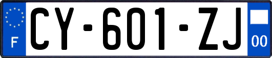 CY-601-ZJ