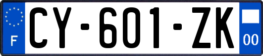 CY-601-ZK