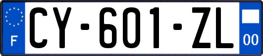 CY-601-ZL