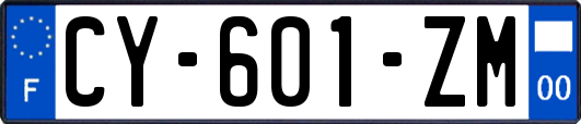 CY-601-ZM