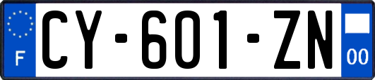 CY-601-ZN