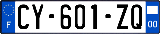 CY-601-ZQ